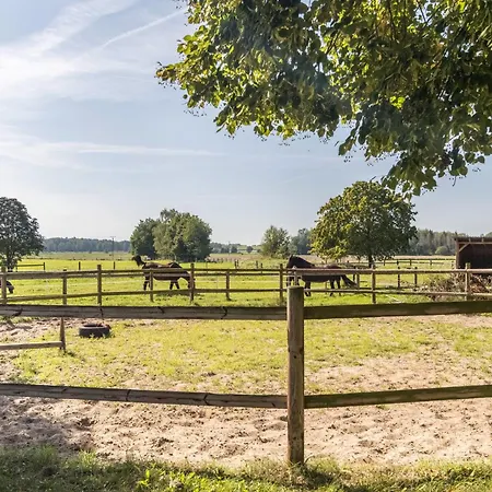 アパート Lueneburger Heide Hankensbüttel