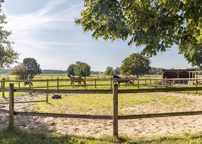 アパート Lueneburger Heide Hankensbüttel